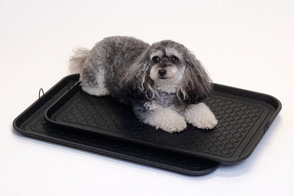 Potty tray for outlet dogs