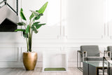 City Loo Starter Kit - Chic Dog Potty Set
