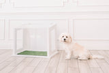 City Loo Starter Kit - Chic Dog Potty Set