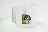 City Loo Starter Kit - Chic Dog Potty Set