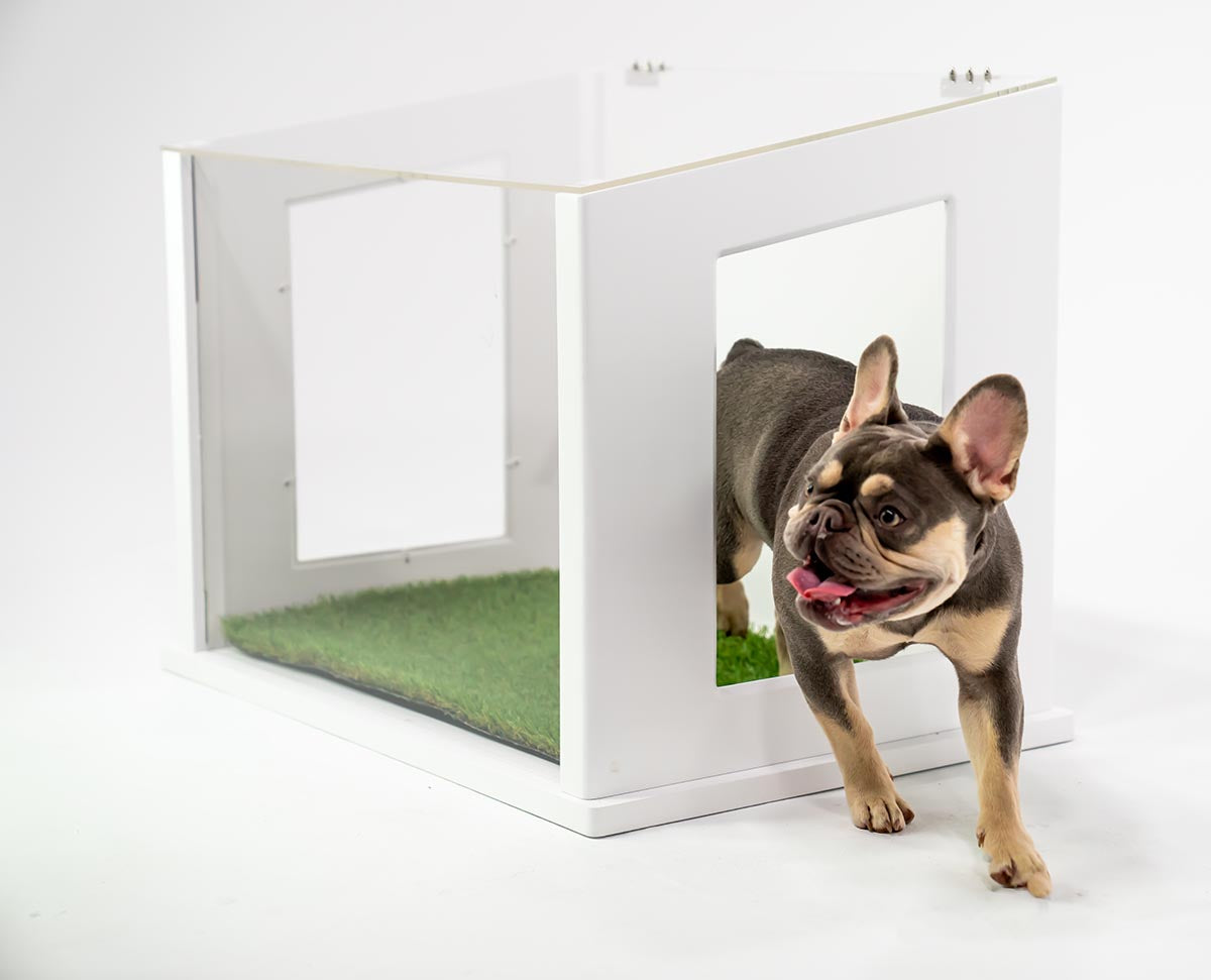 Outdoor dog potty solutions best sale